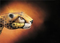 /album/fotos-incriveis/cobra-tigre-jpg/